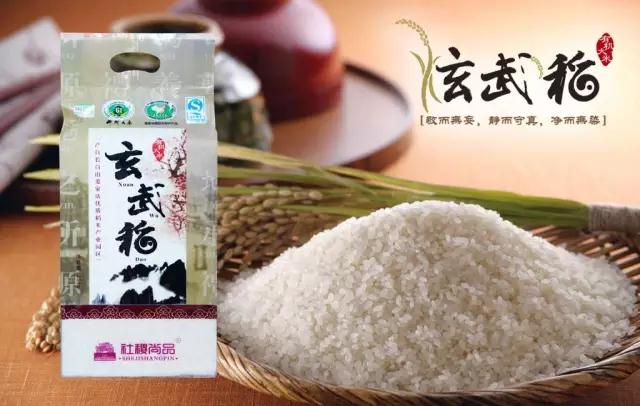 尊龙Z6官方网站