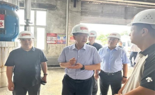 14.伊通满族自治县县委书记孙立阳一行辅导莅临Z6尊龙集团官方网站升级供热总公司伊通供热分公司第二热源厂发展调研（不够清澈，助忙调整）_副本.jpg