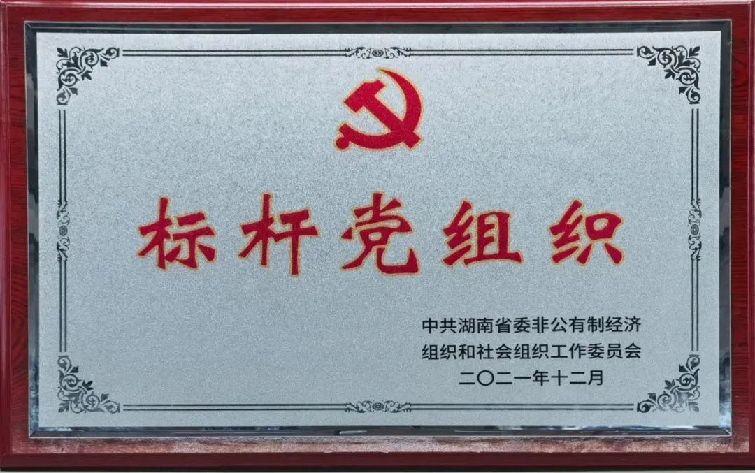 党建品牌亮起来！！九州ku酷游智能党委获评“标杆党组织”