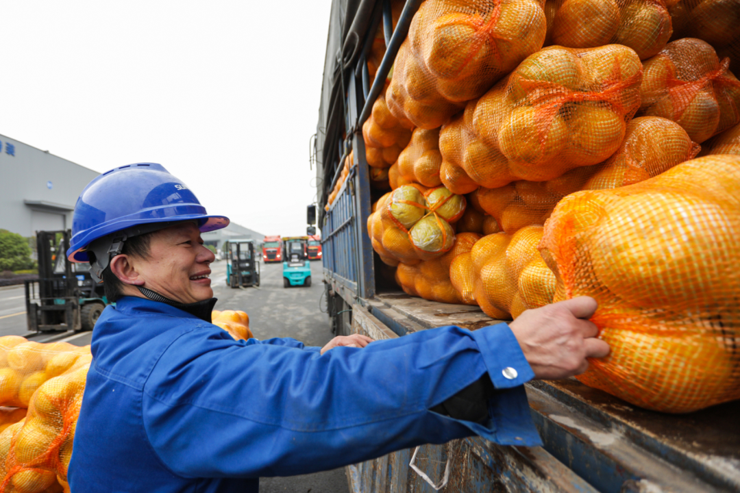 点赞！！九州ku酷游智能乐成入选“上市公司墟落振兴优异实践案例”